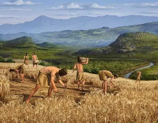 Первые земледельцы эпохи неолита