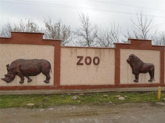 Шымкент казахстан зоопарк