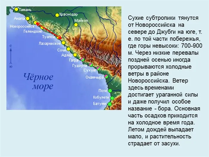 Сухие субтропики тянутся от Новороссийска на севере до Джубги на юге, т. е. п. 