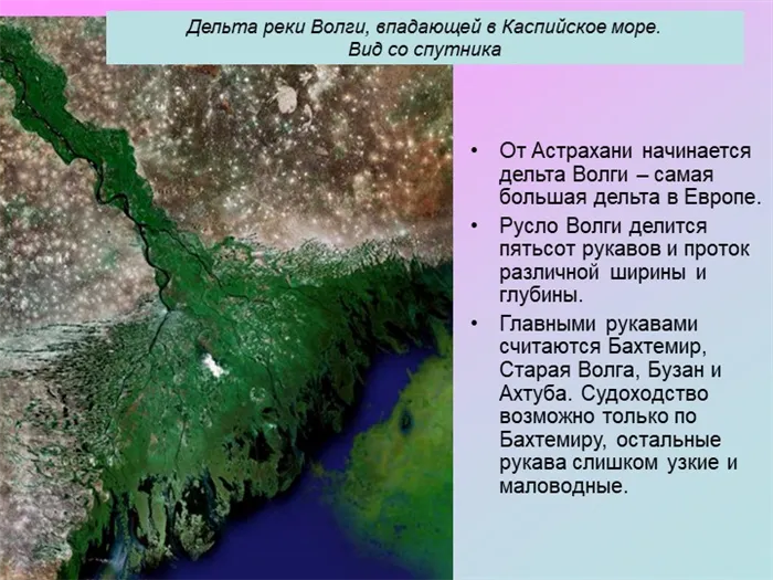 От Астрахани начинается дельта Волги – самая большая дельта в Европе. Русло. 