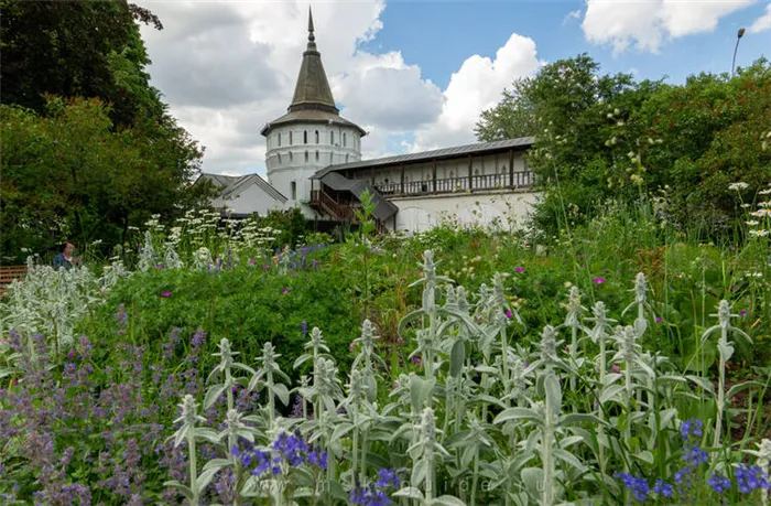Даниловский монастырь, клумба и Нагорная башня