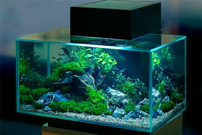 освещение аквариума