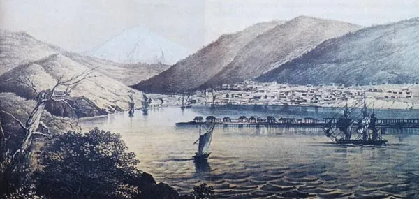 Петропавловский порт на Камчатке. Литография середины 19-го века