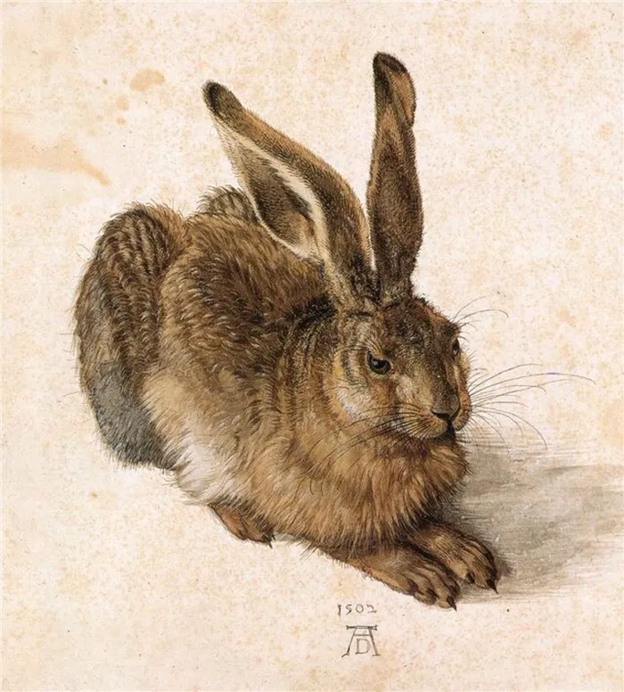1502 Молодой заяц