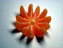 Mandarin fruit.jpg