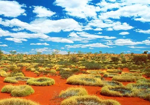 большая песчаная пустыня, Австралия, растения, трава, белые облака, голубое небо