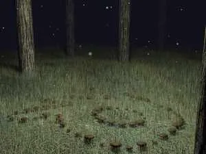 Ведьмин круг в лесу