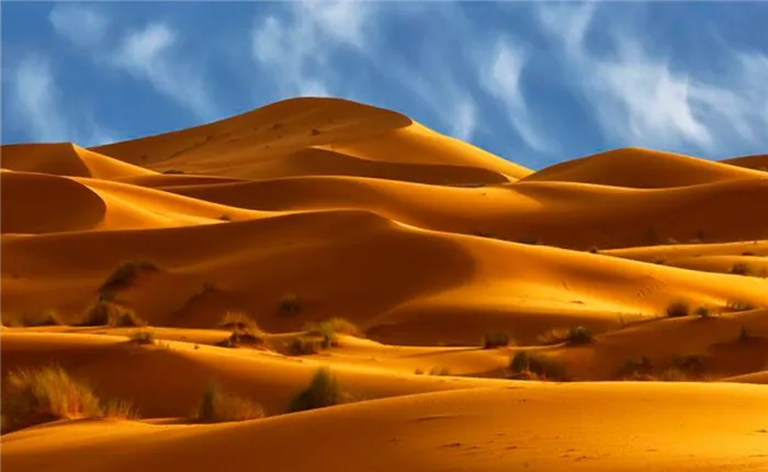 Самая большая пустыня