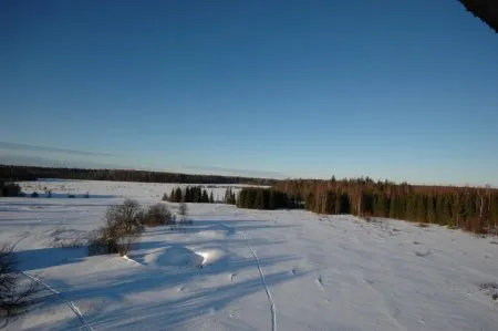 Зимняя панорама Центрально-Лесного заповедника