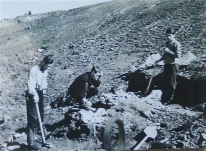 Раскопки около деревни Ежово. 1950-е годы