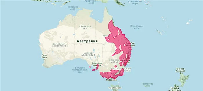 ареал обитания коалы на карте