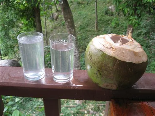 kokosovaya-voda