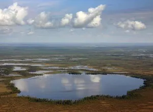 Большое Васюганское болото