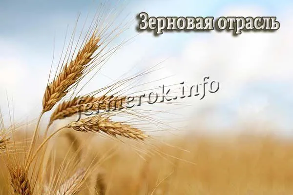 Зерновая отрасль