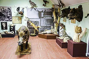 Музей Кропоткина