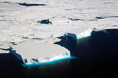 Маленькие табличные айсберги (26376305448) .jpg