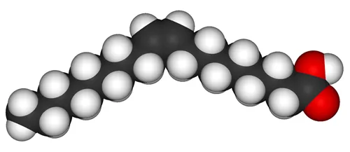 Структура молекулы олеиновой кислоты