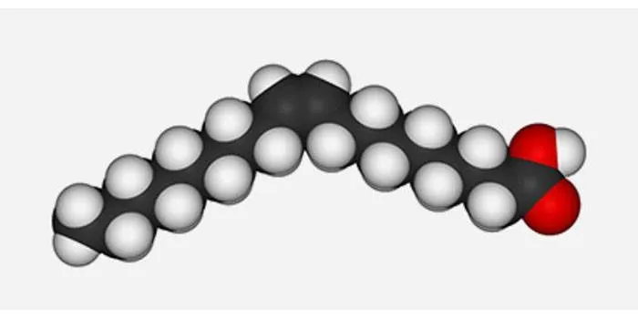 Схема молекулы олеиновой кислоты