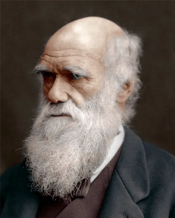 Чарльз Дарвин натуралист 