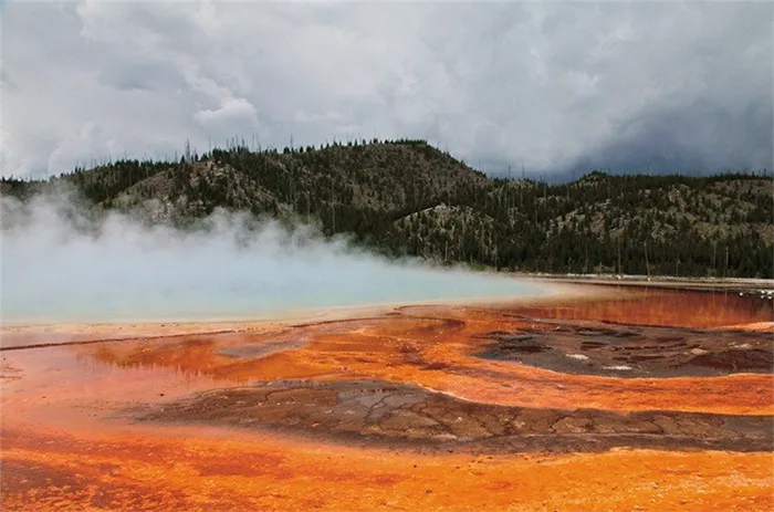 Это не лава, это горячие мелководные потоки Большого призматического источника, окрашенные солями железа, бактериями и водорослями. На заднем плане – холмы с восстанавливающимся после пожаров лесом