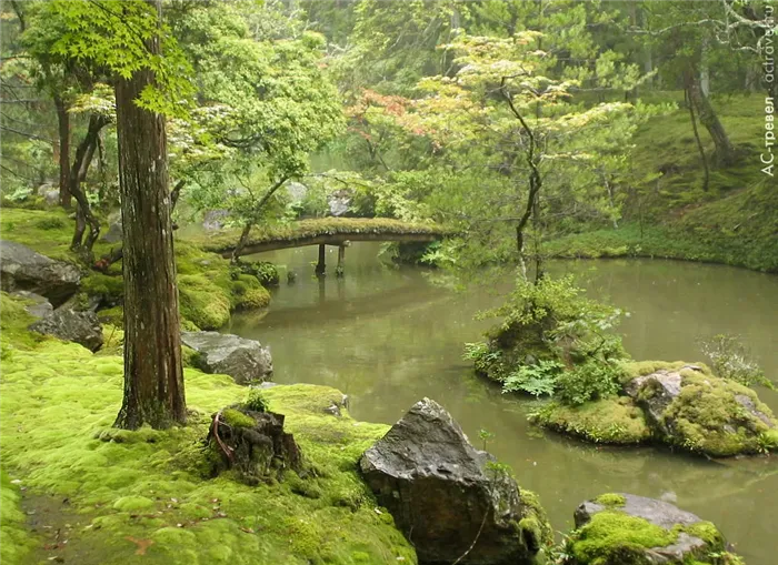 Сад мхов в буддийском монастыре Сайходзи, Киото
