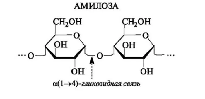 Структурная формула амилозы