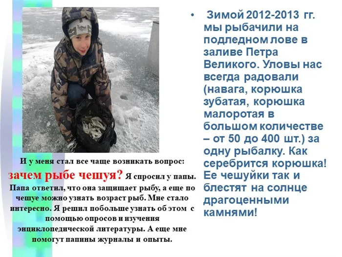 Зимой 2012-2013 гг. мы рыбачили на подледном лове в заливе Петра Великого. 