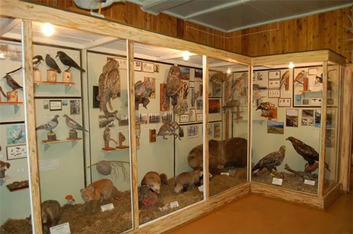Печоро илычский заповедник богат на достопримечательности, среди которых - музей природы заповедника